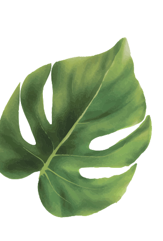 leaf11